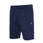 Casual Shorts HUMMEL hmlIC FRED blue | Handbolaunpas