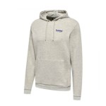 HUMMEL hmlLGC AUSTIN HOODIE Grey | Handbolaunpas